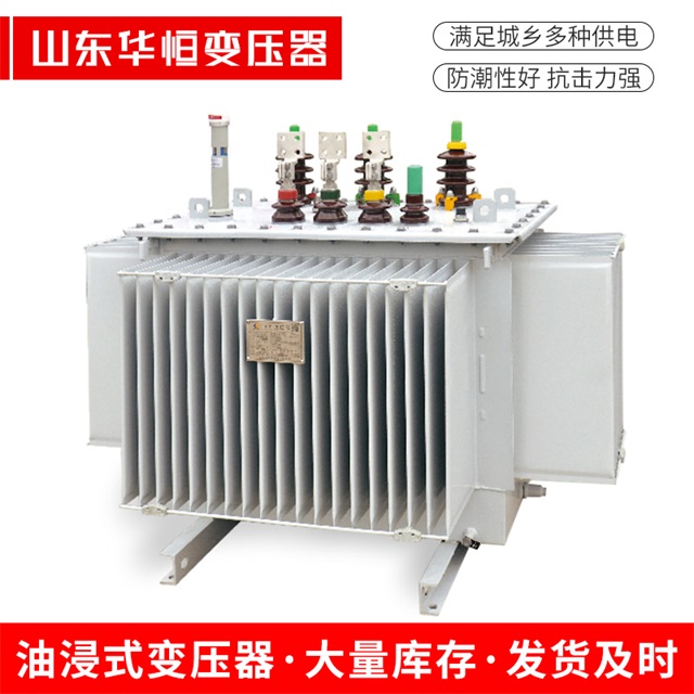 S13-10000/35垦利垦利垦利电力变压器